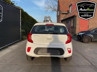 Kia Picanto Picanto (JA), Hatchback, 2017 1.0 DPI 12V picture 4