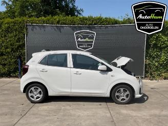 škoda osobní automobily Kia Picanto Picanto (JA), Hatchback, 2017 1.0 DPI 12V 2024/10