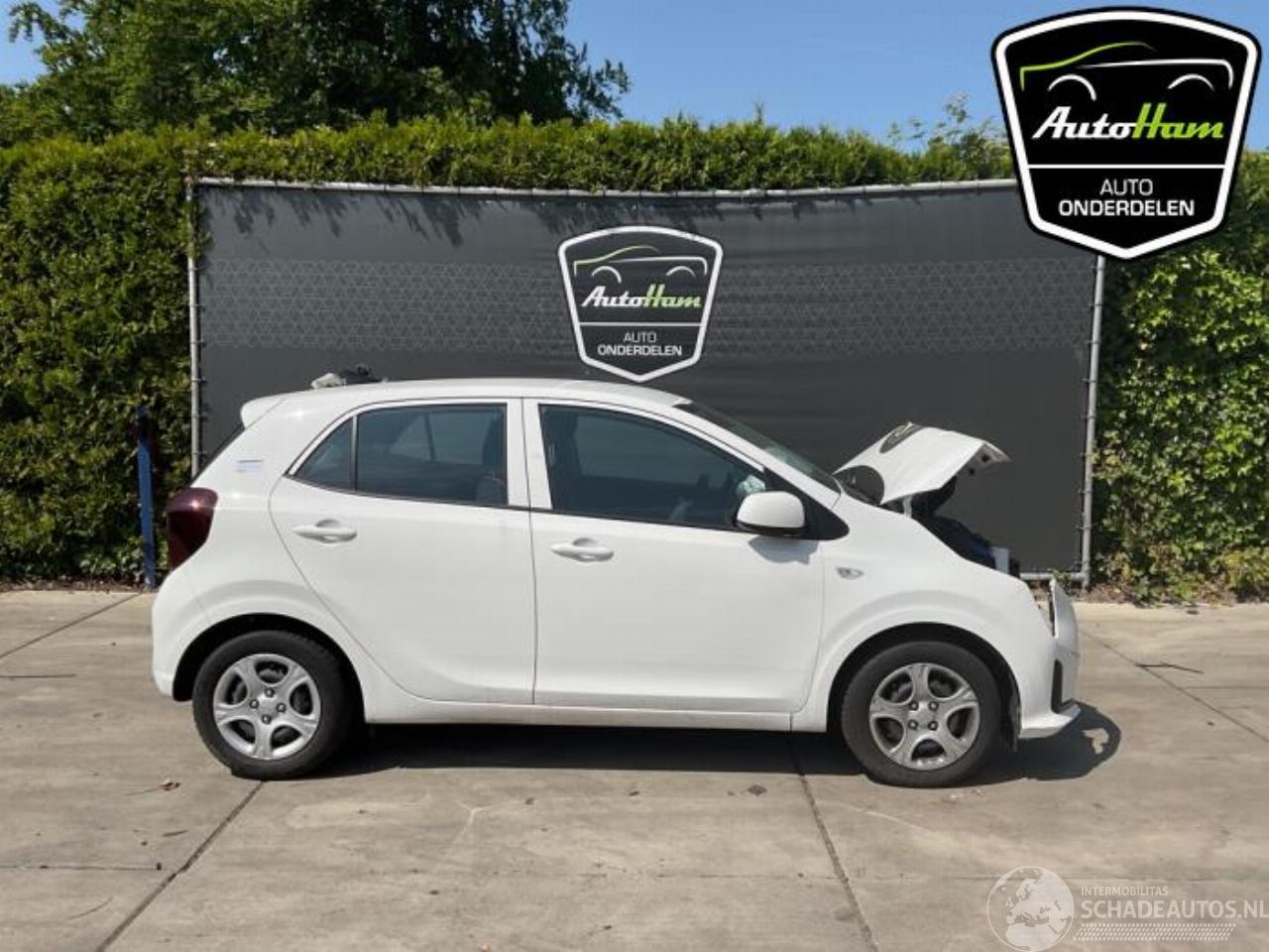 Kia Picanto Picanto (JA), Hatchback, 2017 1.0 DPI 12V