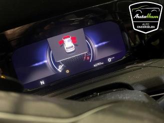 Volkswagen Golf Golf VIII (CD1), Hatchback, 2019 2.0 GTI 16V picture 13