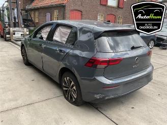 Volkswagen Golf Golf VIII (CD1), Hatchback, 2019 1.0 TSI 12V picture 6