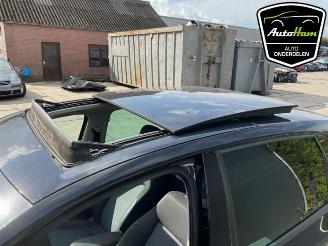 Volkswagen Polo Polo V (6R), Hatchback, 2009 / 2017 1.2 12V BlueMotion Technology picture 26