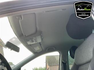 Volkswagen Polo Polo V (6R), Hatchback, 2009 / 2017 1.2 TSI 16V BlueMotion Technology picture 20