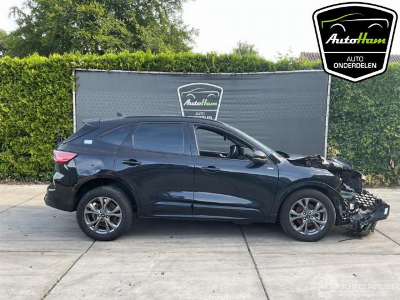 Ford Kuga Kuga III (DFK), SUV, 2019 2.5 PHEV 16V