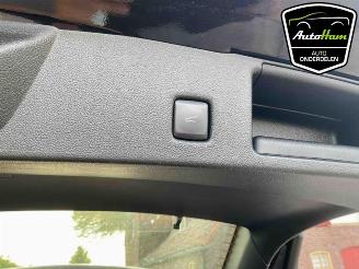 Ford Kuga Kuga III (DFK), SUV, 2019 2.5 PHEV 16V picture 33