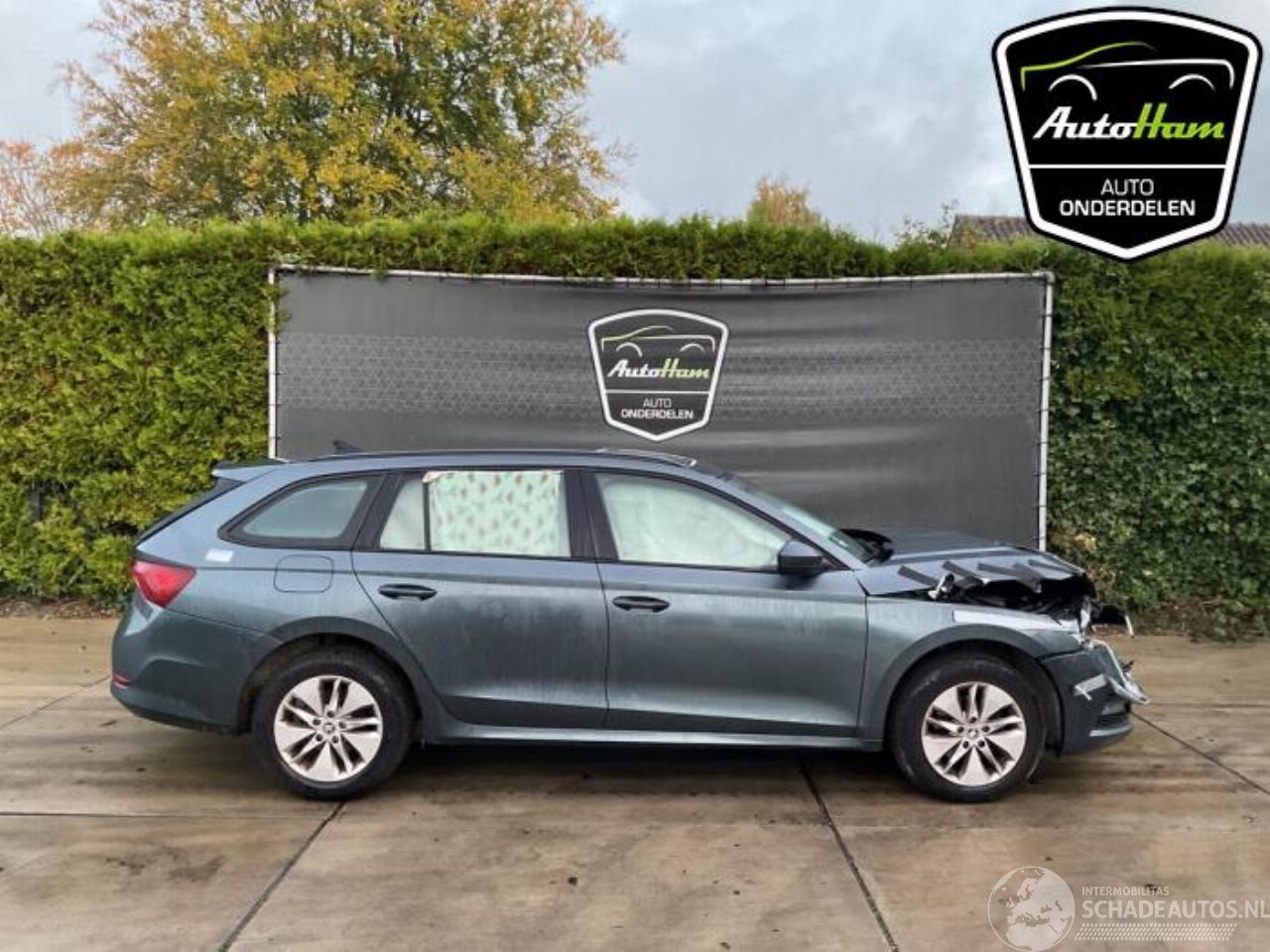 Skoda Octavia Octavia Combi (NXAC), Combi 5-drs, 2019 1.0 TSI e-TEC 12V