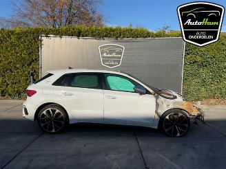 Purkuautot passenger cars Audi S3 S3 Sportback (8YA), Hatchback 5-drs, 2020 2.0 T FSI 16V 2023/4