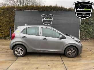 Schadeauto Kia Picanto Picanto (JA), Hatchback, 2017 1.0 DPI 12V 2022/10