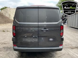 Ford Transit Transit Custom, Bus, 2024 2.0 EcoBlue 170 picture 20
