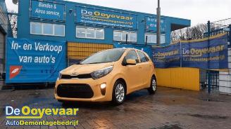 Kia Picanto Picanto (JA), Hatchback, 2017 1.0 12V picture 5
