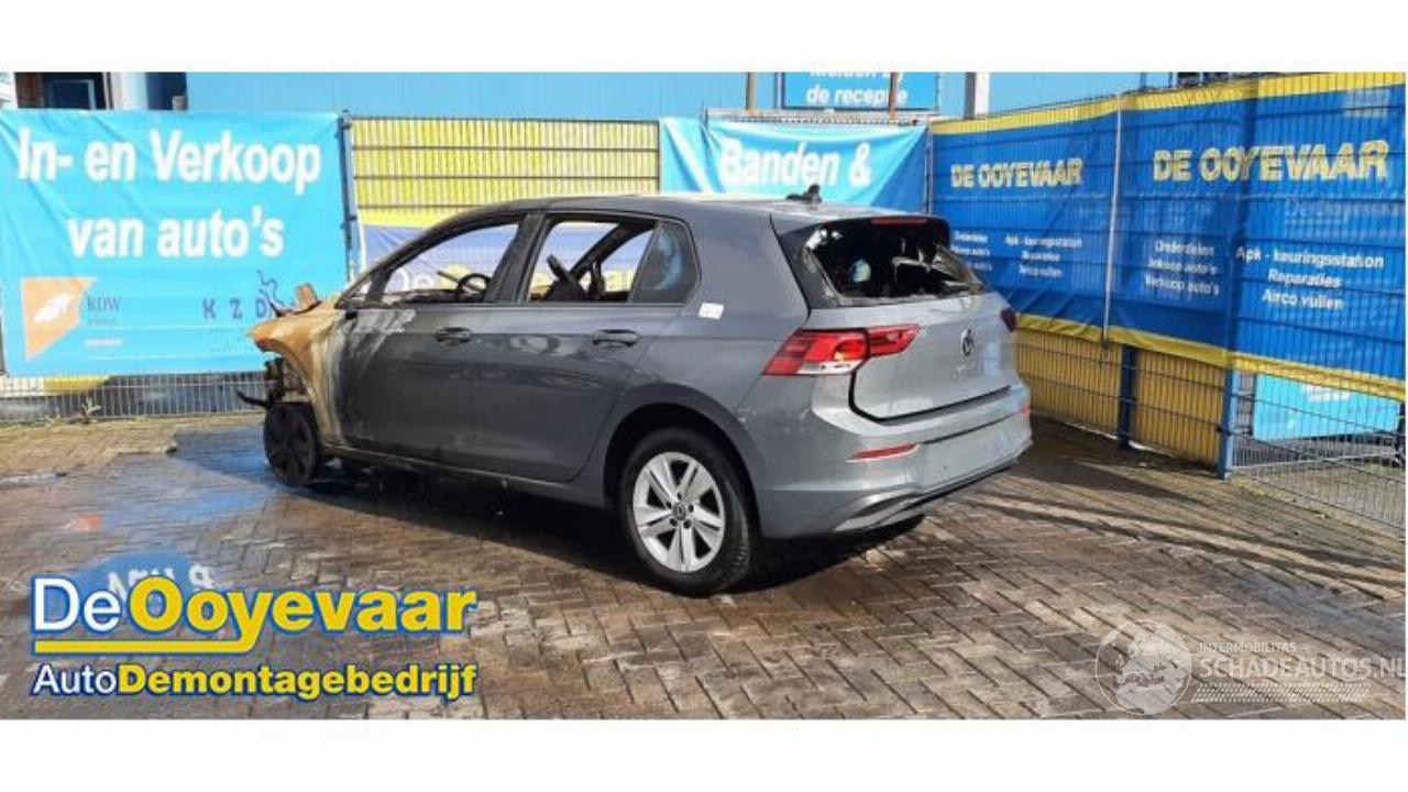 Volkswagen Golf Golf VIII (CD1), Hatchback, 2019 1.0 TSI 12V