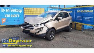 Ford EcoSport EcoSport (JK8), SUV, 2013 1.0 EcoBoost 12V 125 picture 6