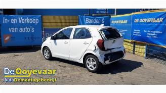 Kia Picanto Picanto (JA), Hatchback, 2017 1.0 12V picture 6