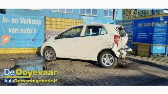 Kia Picanto Picanto (JA), Hatchback, 2017 1.0 DPi 12V picture 3