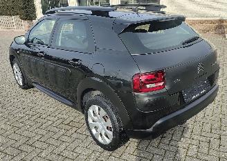 Citroën C4 cactus Citroën C4 Cactus Feel navi camera picture 3