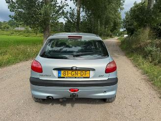 Peugeot 206  picture 11