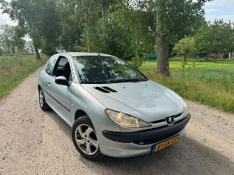 Peugeot 206  picture 2