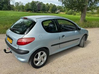 Peugeot 206  picture 10