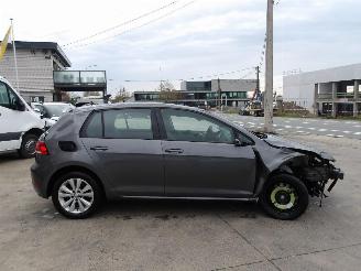 Volkswagen Golf  picture 5