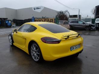 Porsche Cayman GTS picture 7