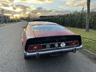 Ford Mustang MACH 1 picture 4