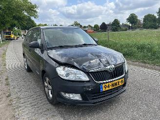 Skoda Fabia 1.2 TDI Greenline airco picture 14