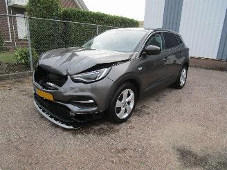 Voiture accidenté Opel Grandland X 1.2 T Navi Panodak Clima 6-Bak 2019/11