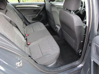 Volkswagen e-Golf Navi Camera 57.000 KM picture 12