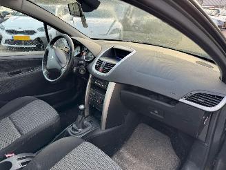 Peugeot 207 1.4-16V XR picture 13