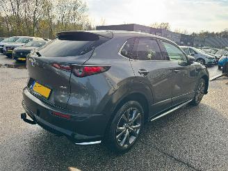 Mazda CX-30 2.0 e-SkyActiv-X M Hybrid Luxury picture 5