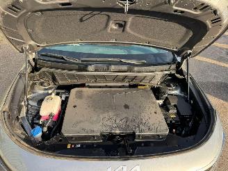 krockskadad bil auto Kia Niro EV AUTOMAAT DynamicLine 64.8 kWh BJ 2022 50.408 KM 2022/11