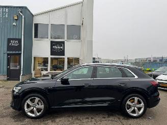 Audi E-tron e-tron 50 quattro Launch edition plus 71 kWh 313 PK picture 2