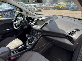 Ford C-Max 1.0 Titanium picture 14