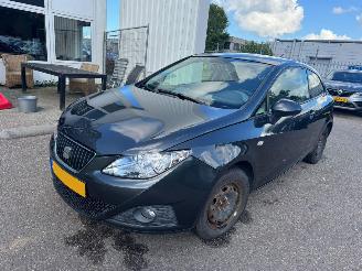 Avarii autoturisme Seat Ibiza SC 1.4 Reference 2009/4