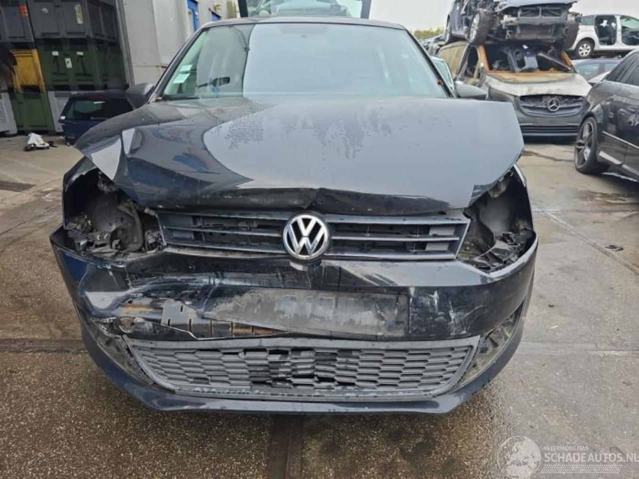 Volkswagen Polo Polo V (6R), Hatchback, 2009 / 2017 1.2 12V