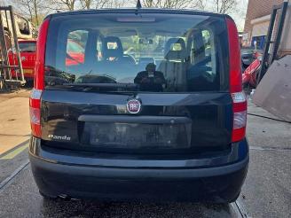 Fiat Panda Panda (169), Hatchback, 2003 / 2013 1.1 Fire picture 5