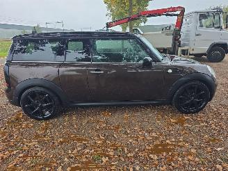 Mini Mini  picture 14