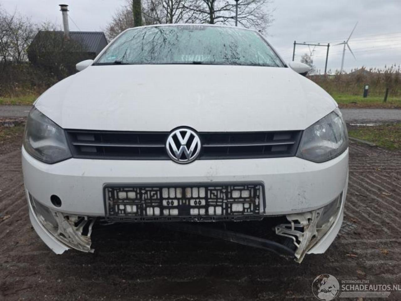 Volkswagen Polo Polo V (6R), Hatchback, 2009 / 2017 1.4 16V