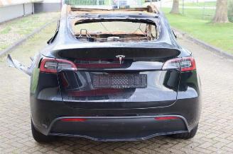 Tesla Model Y Model Y (5YJY), SUV, 2019 RWD picture 6