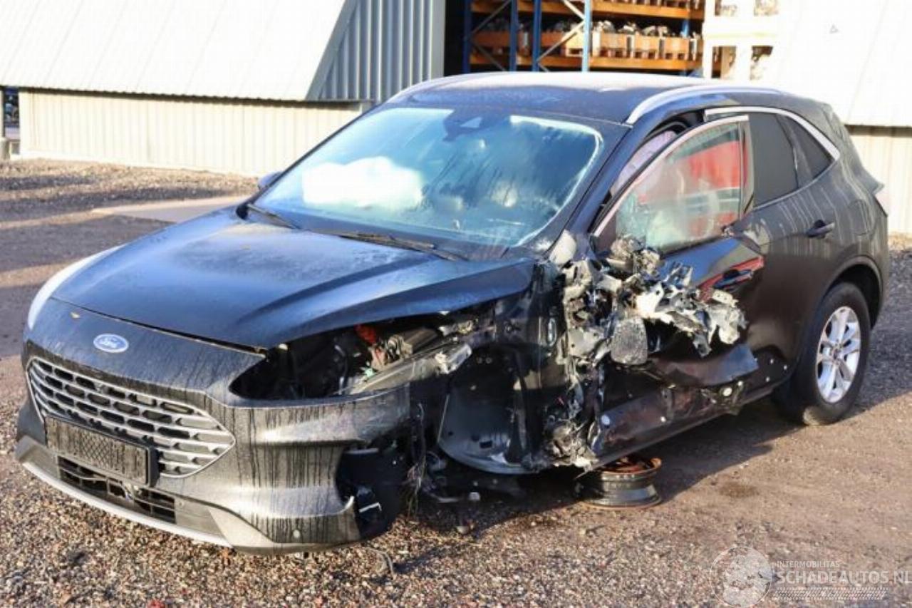 Ford Kuga Kuga III (DFK), SUV, 2019 2.5 PHEV 16V