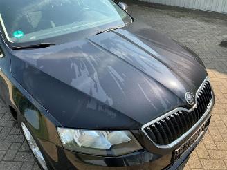Skoda Octavia Octavia Combi (5EAC), Combi 5-drs, 2012 / 2020 1.6 TDI Greenline 16V picture 22