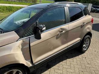 Ford EcoSport EcoSport (JK8), SUV, 2013 1.0 EcoBoost 12V 125 picture 17