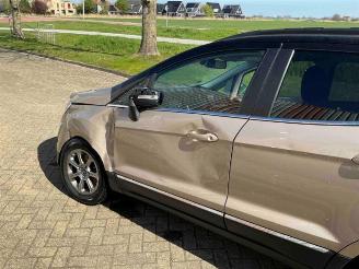 Ford EcoSport EcoSport (JK8), SUV, 2013 1.0 EcoBoost 12V 125 picture 19