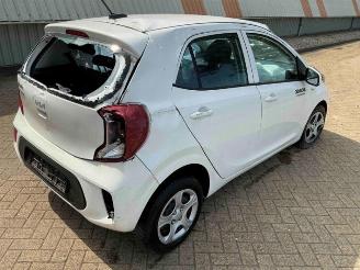 Kia Picanto Picanto (JA), Hatchback, 2017 1.0 DPi 12V picture 3
