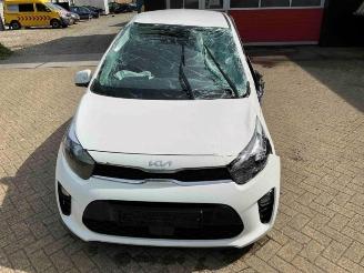 Kia Picanto Picanto (JA), Hatchback, 2017 1.0 DPi 12V picture 8