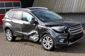 disassembly passenger cars Ford Kuga Kuga II (DM2), SUV, 2012 1.5 EcoBoost 16V 120 2017/6