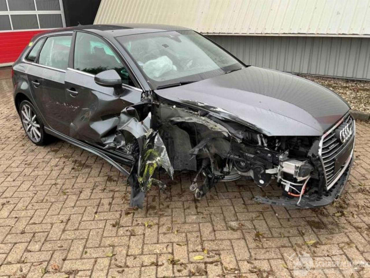 Audi A3 A3 Sportback (8VA/8VF), Hatchback 5-drs, 2012 / 2020 1.4 TFSI 16V 40 e-tron