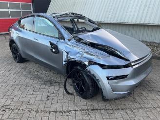 Dezmembrări autoturisme Tesla Model Y Model Y, SUV, 2025 RWD 58 kWh, Long Range RWD 75 kWh 2025/6