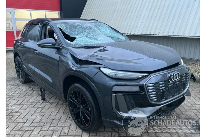 Audi Q6 Q6 e-tron (GFB), SUV, 2024 Performance 100 kWh