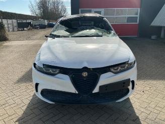 Sloopauto Alfa Romeo Tonale Tonale, SUV, 2022 1.3 T Hybrid Q4 2025/1